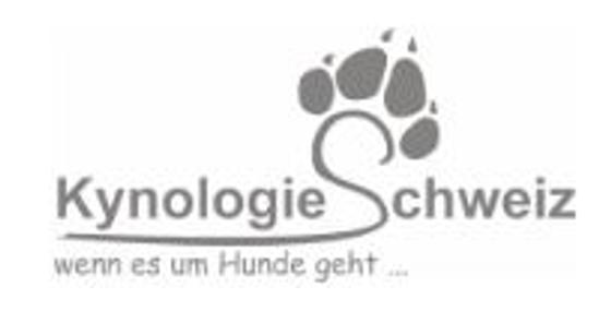 Mit der Ausbildung als Hundefriseur kannst du selbständig als Hundefriseur in der Schweiz arbeiten.